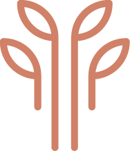 pink-icon